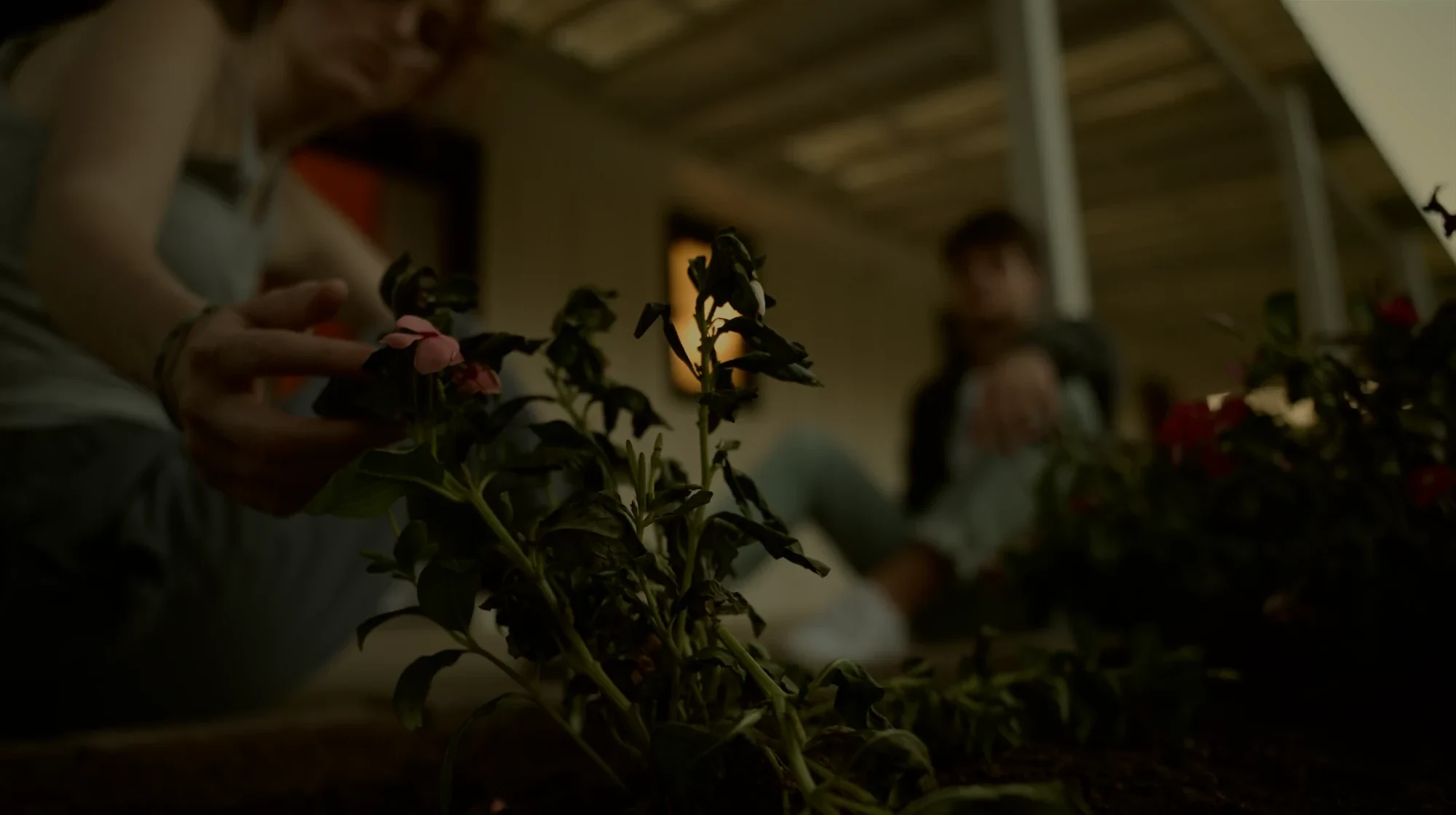 Ven tending flowers in the garden — still from ‘Ven